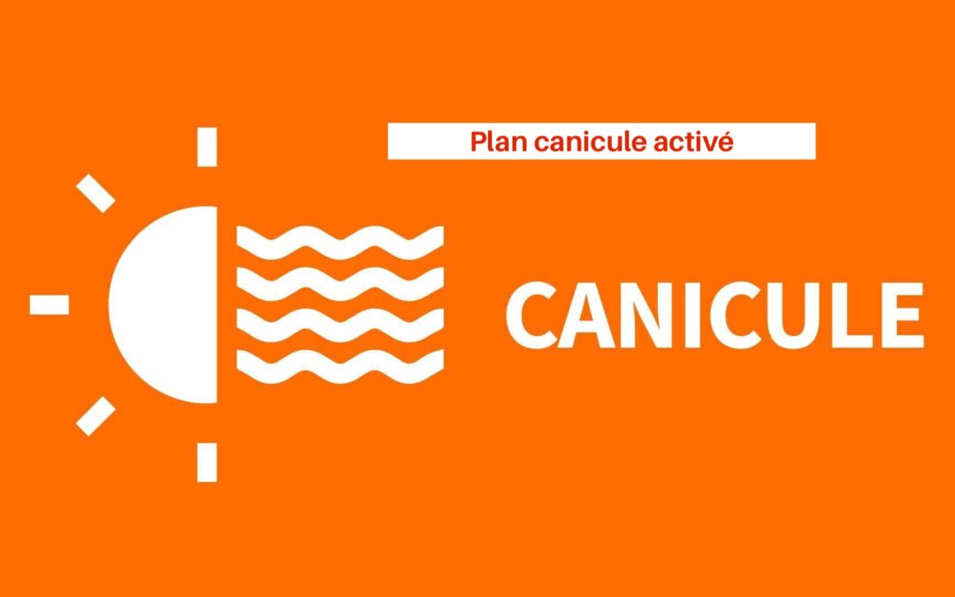 PLAN CANICULE