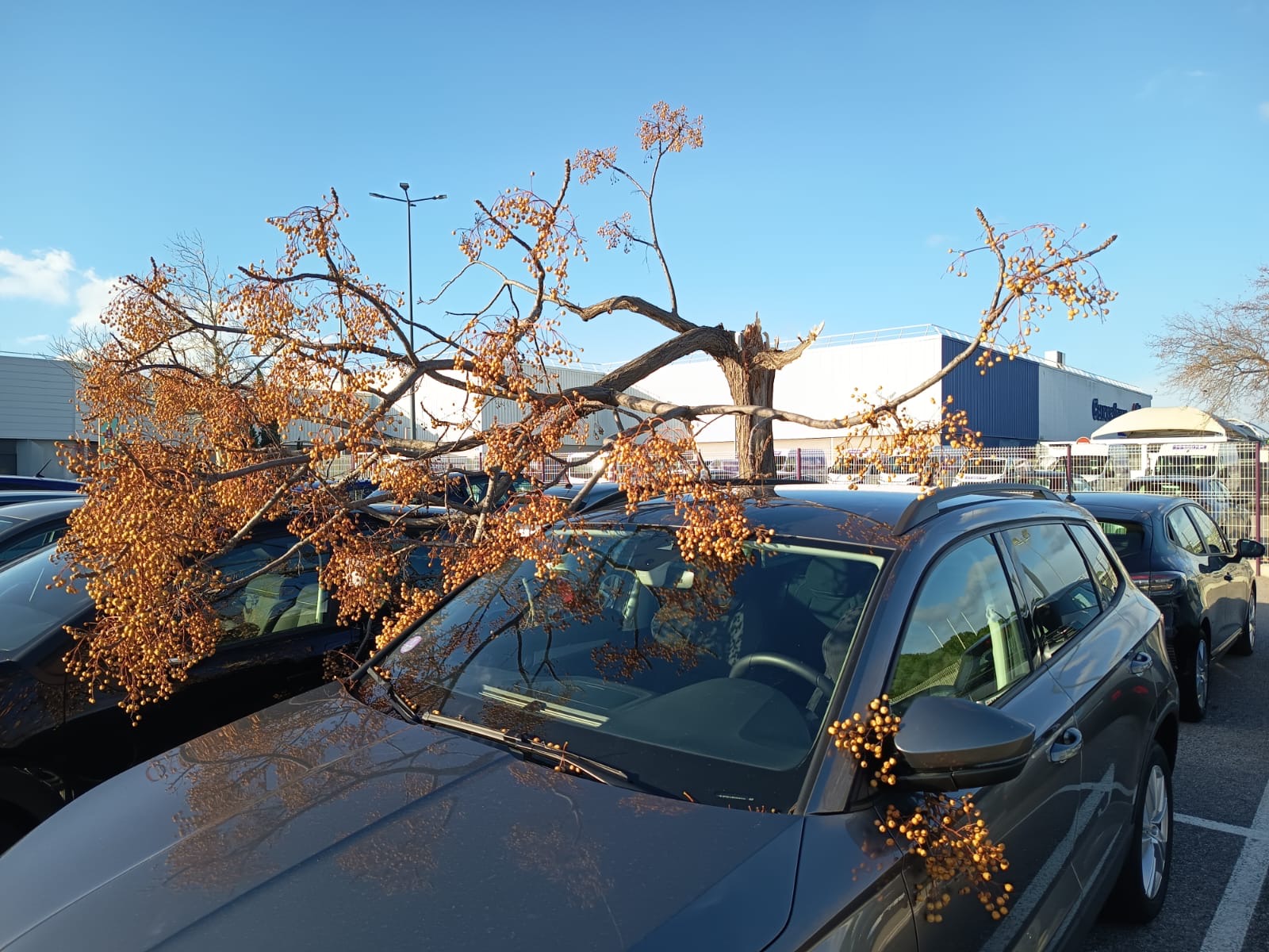 5551be69-2ff8-440b-a367-b942d95838c9