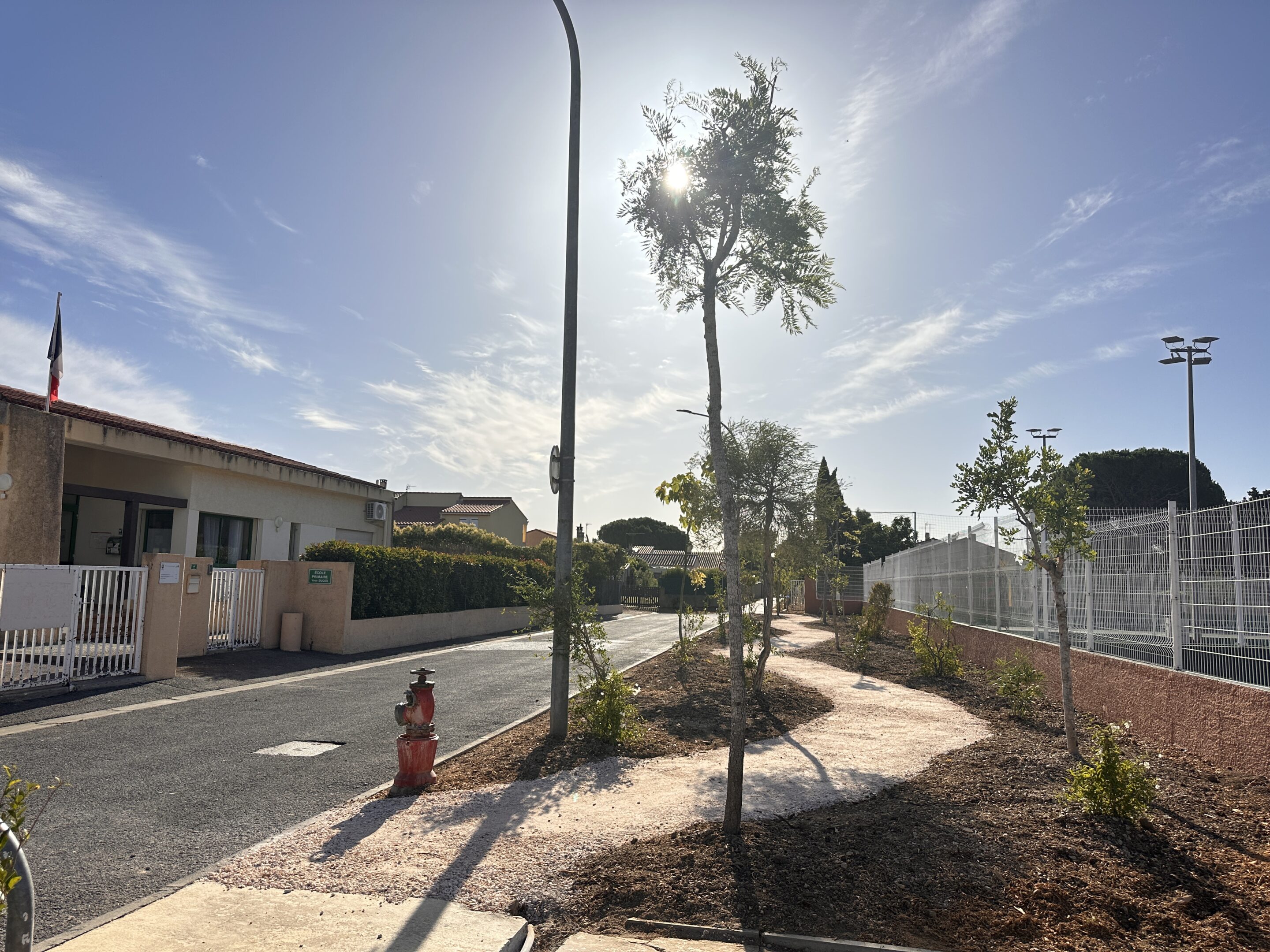 IMG_3554
